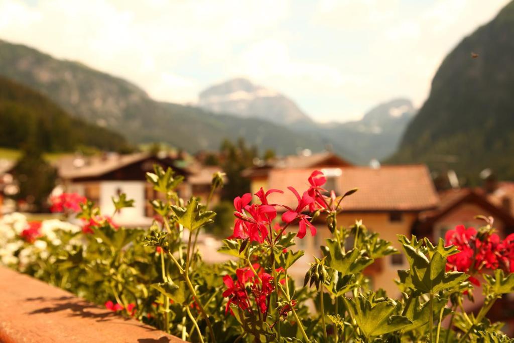 Garni Pra Fiori Hotel Campitello di Fassa Room photo